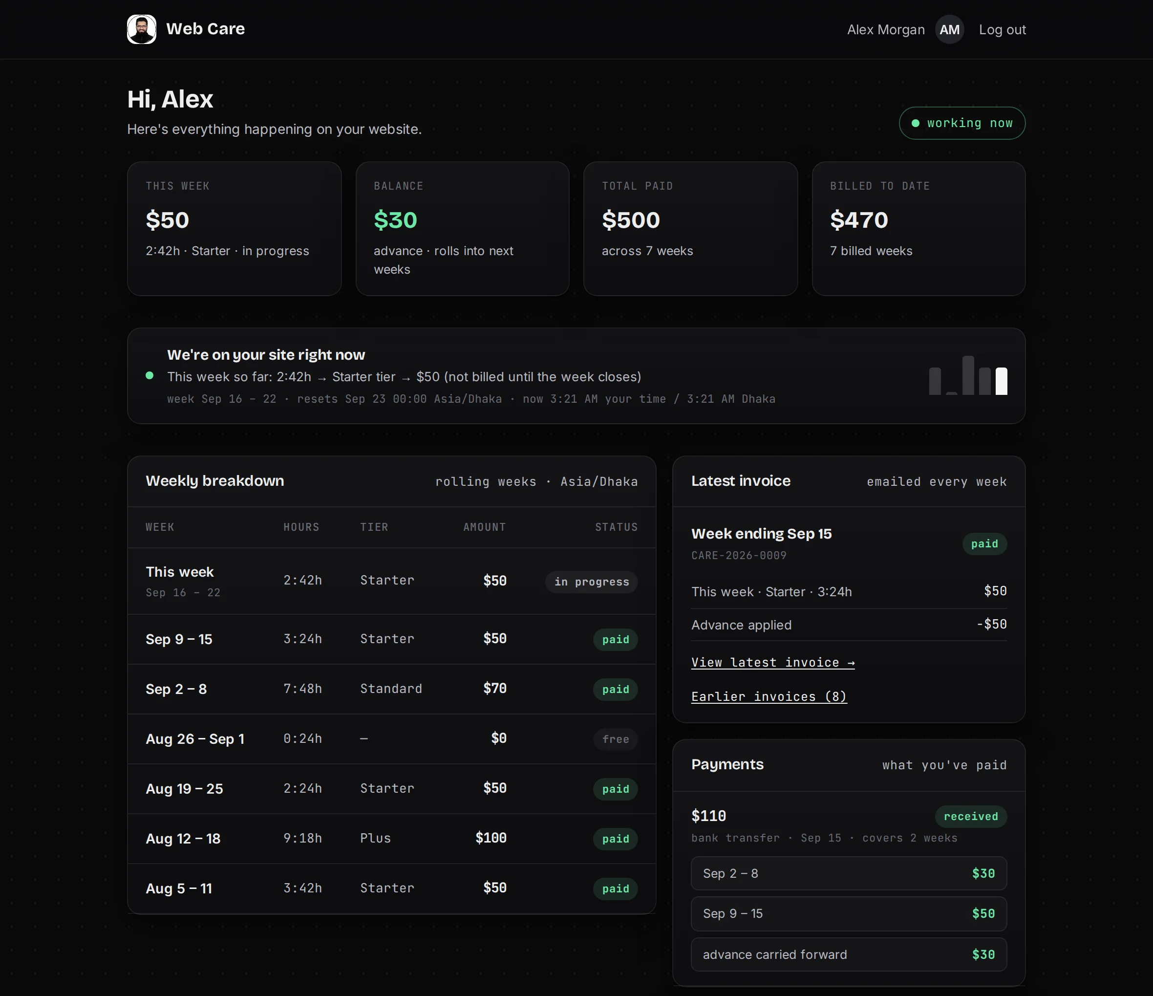 Web Care client dashboard: this week's hours and tier, balance, weekly breakdown with paid and free weeks, latest invoice and payments